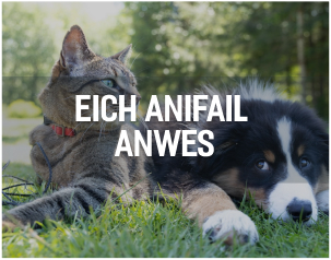 Abergele Community Platform Your Pet Category