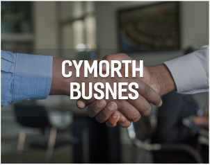 Abergele Community Platform Business Support Category