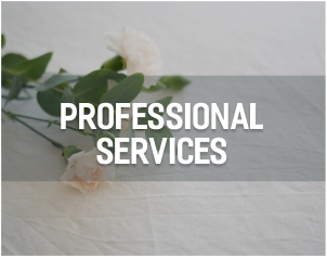 Abergele Community Platform Professional Services Category