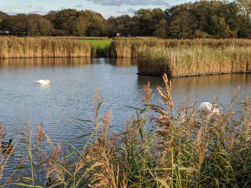 Abergele_park