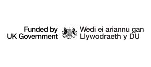 Ukgovernment_funded_lrg (2)